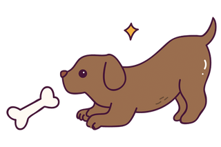 sklep z akcesoriami dla psów