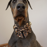 Mucha dla psa "Brownie Terrazzo"