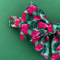 Mucha dla psa "Watermelon"