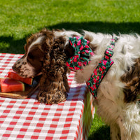 Mucha dla psa Różowa Watermelon - elegancka - Kiss the Dog