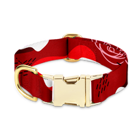 Obroża dla psa Czerwona i elegancka Abstract Red - Kiss the