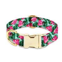 Obroża dla psa w Arbuzy elegancka Watermelon - Kiss the Dog