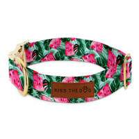 Obroża dla psa w Arbuzy elegancka Watermelon - Kiss the Dog