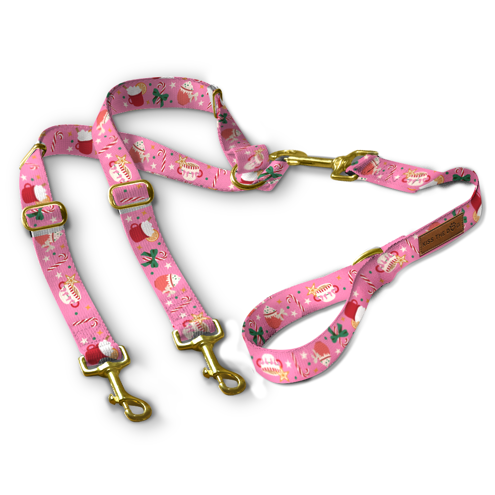 Smycz dla wielu psów "Holiday Candy" - złote okucia