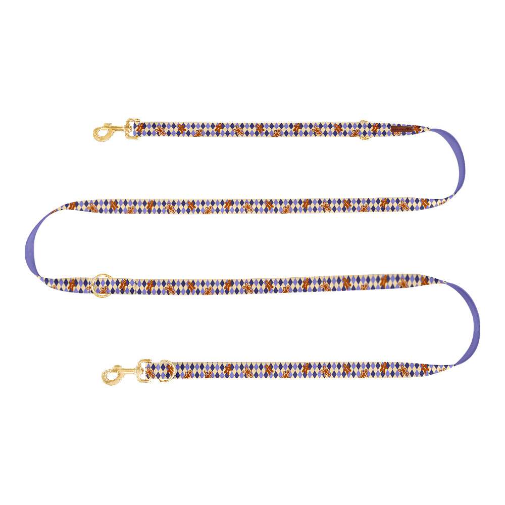 Smycz przepinana "Gingerbread Grid" - złote okucia