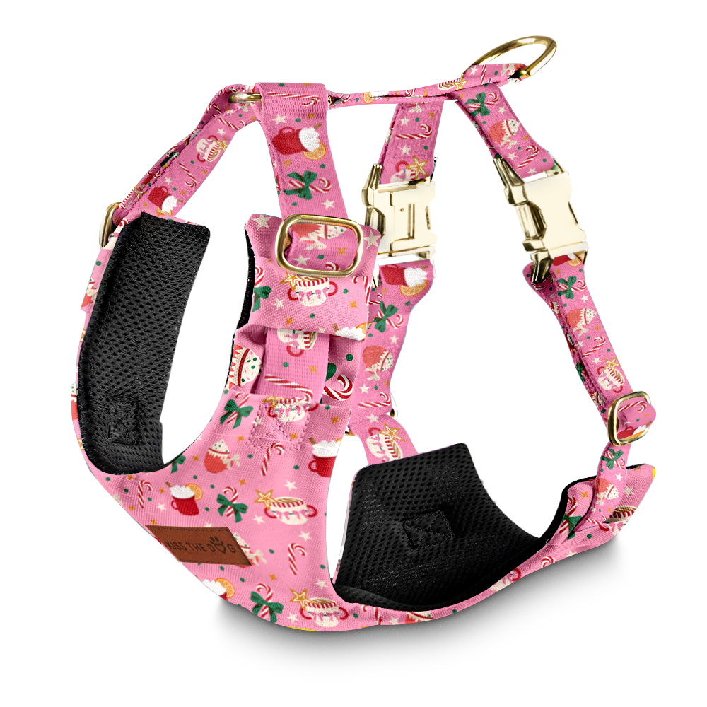 Szelki bezuciskowe "Holiday Candy" - złote okucia