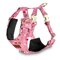 Szelki bezuciskowe "Holiday Candy" - złote okucia