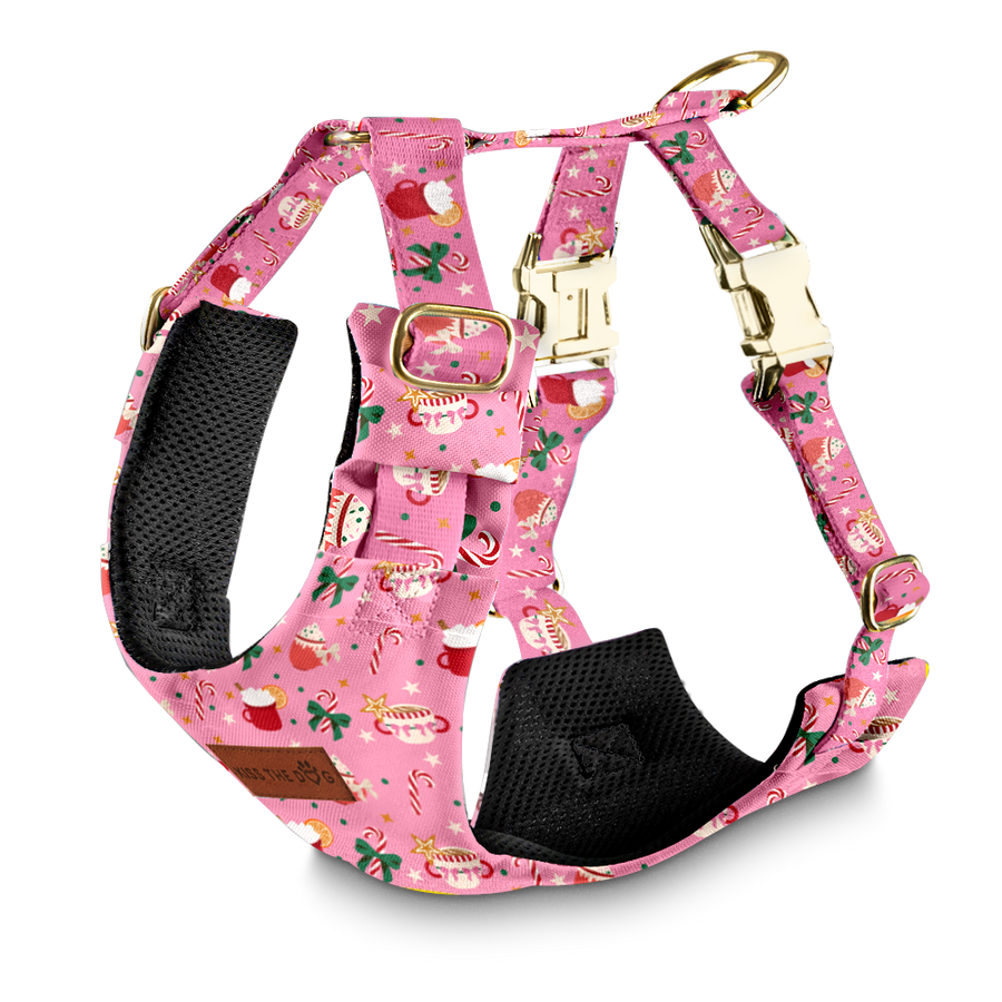 Szelki bezuciskowe "Holiday Candy" - złote okucia