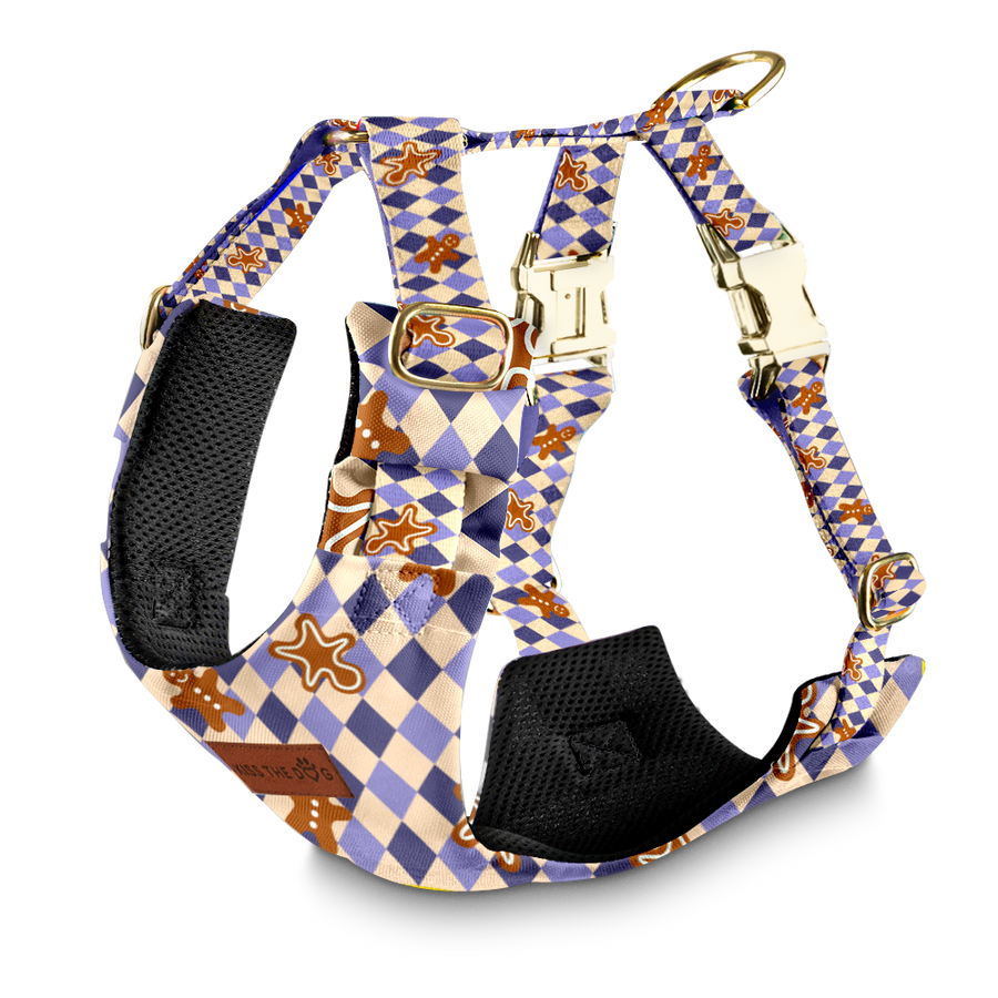 Szelki bezuciskowe "Gingerbread Grid" - złote okucia