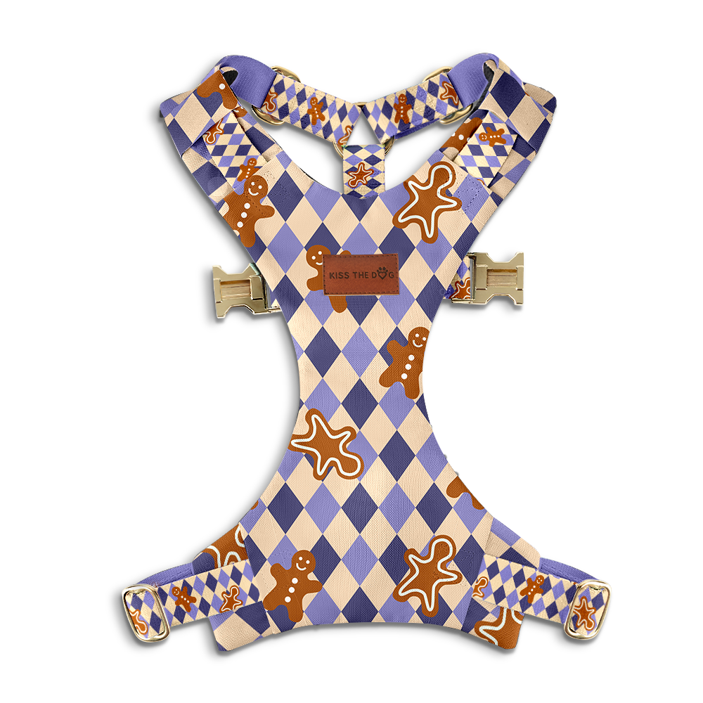 Szelki bezuciskowe "Gingerbread Grid" - złote okucia