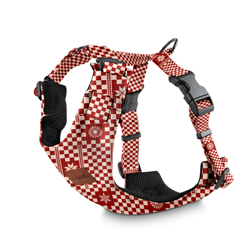 Szelki bezuciskowe "Cozy Plaid" - czarne okucia