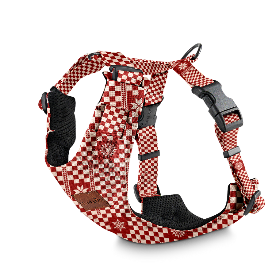 Szelki bezuciskowe "Cozy Plaid" - czarne okucia