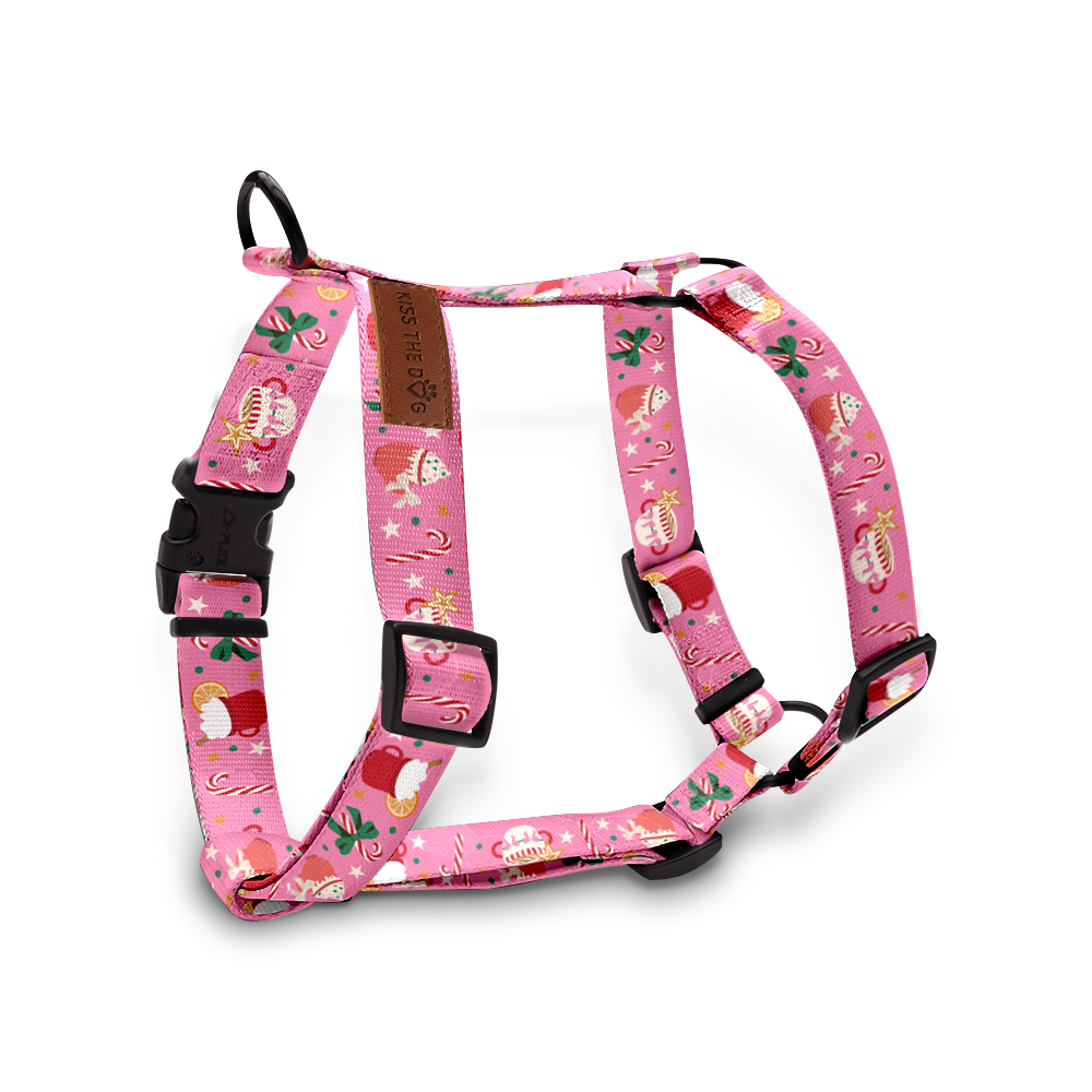 Szelki guard "Holiday Candy" - czarne okucia