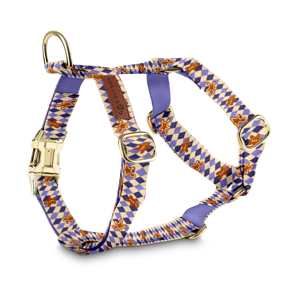 Szelki guard "Gingerbread Grid" - złote okucia