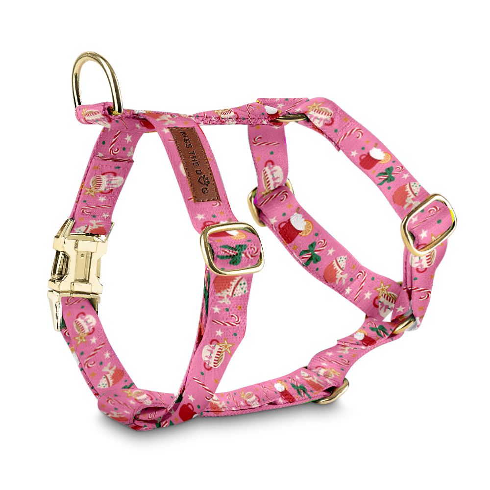 Szelki guard "Holiday Candy" - złote okucia